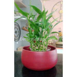 Galvanized Iron Planter