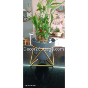 Galvanized Iron Stand Planter