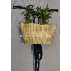 Cycle Basket Wall Mural