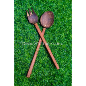 Coconut Spoon